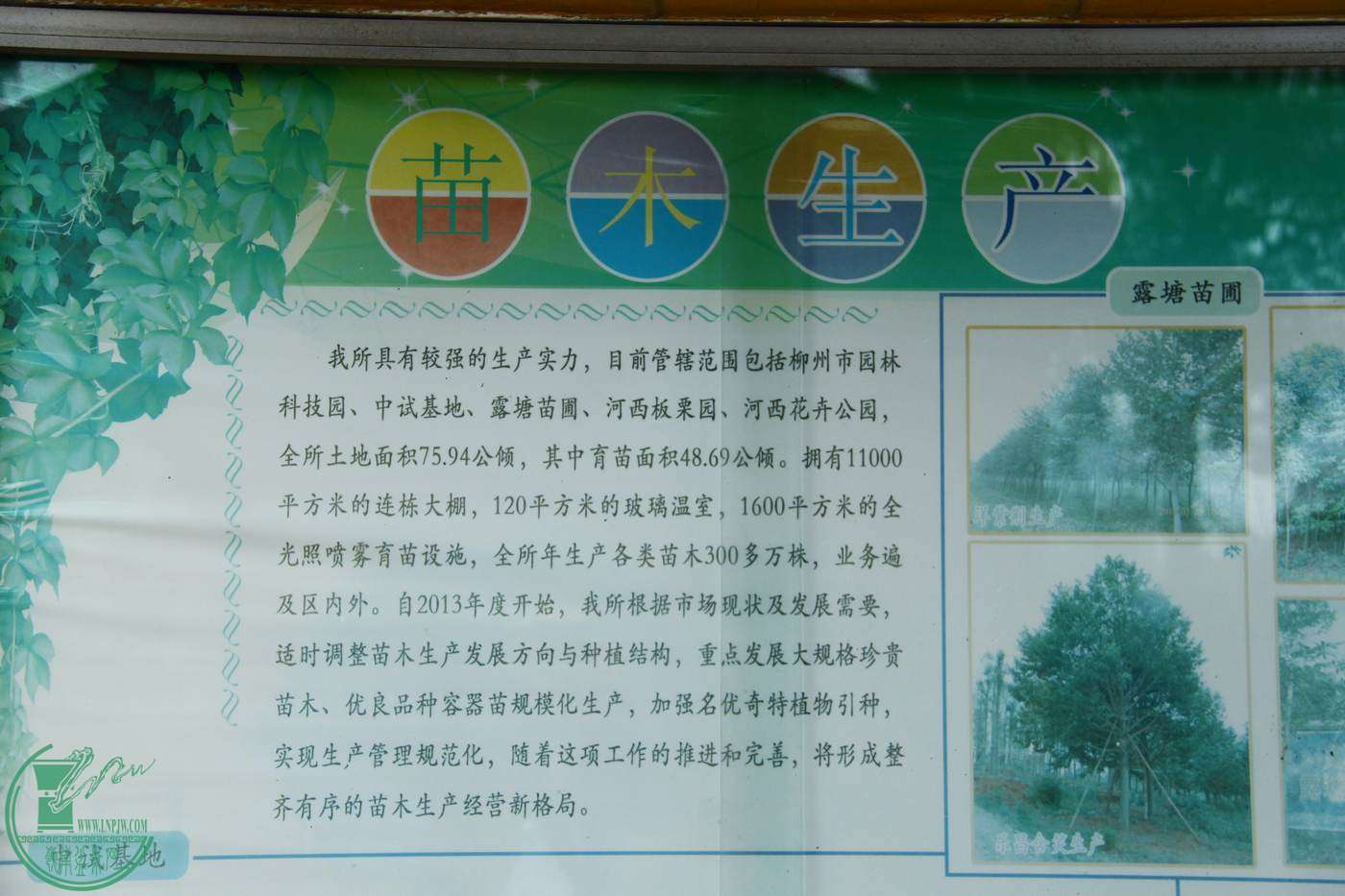 _MG_7988.jpg