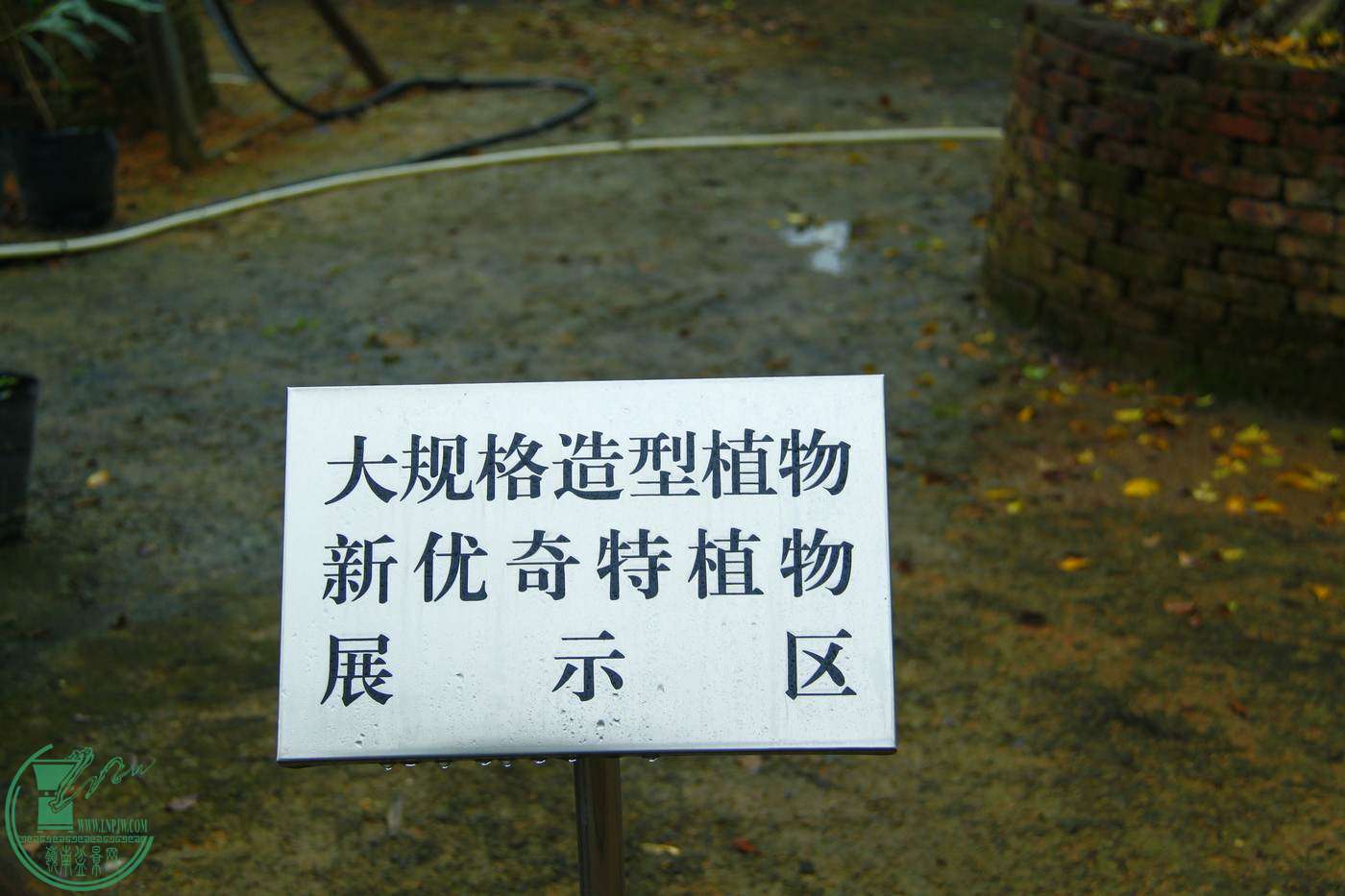 _MG_7965.jpg