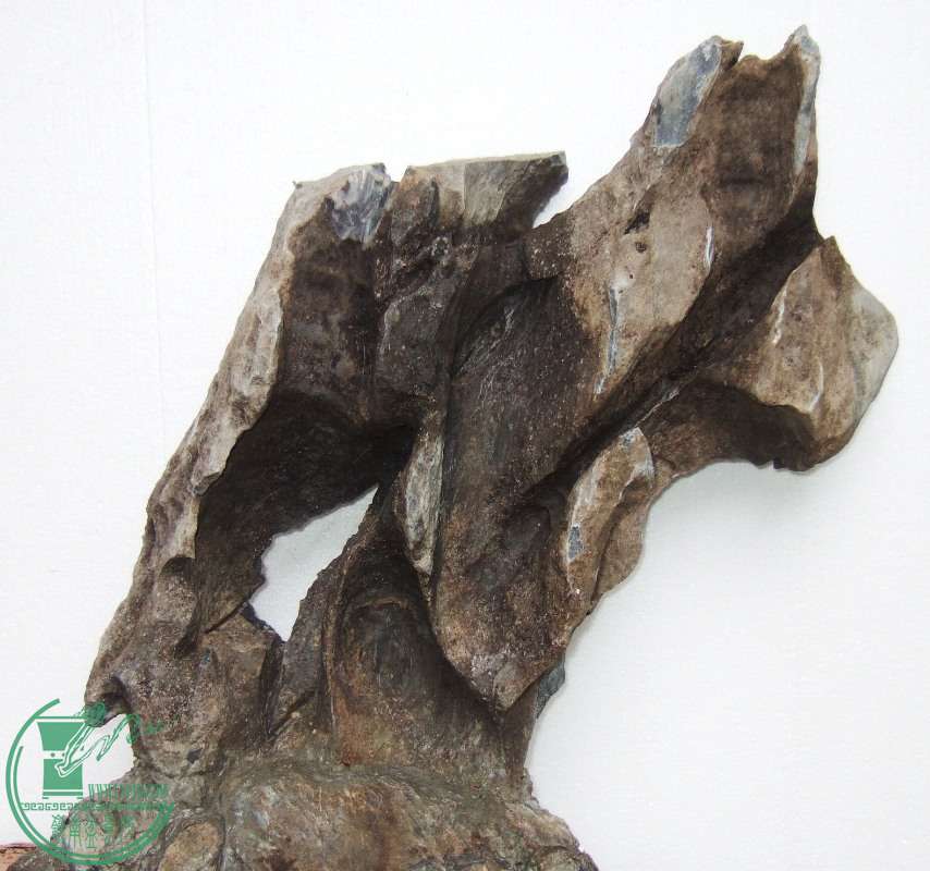 DSCF5749.JPG