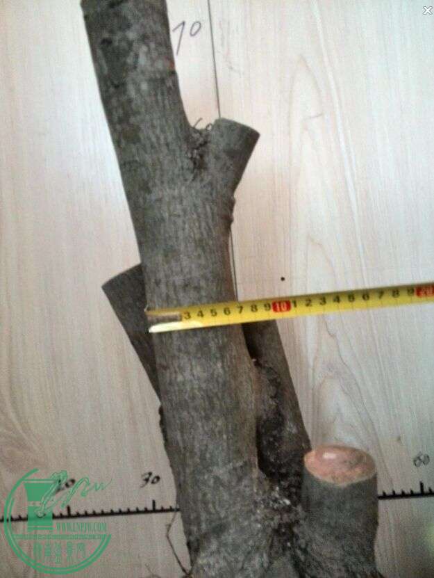 QQͼƬ20150109153150.jpg