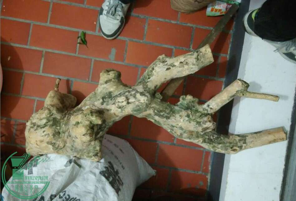 QQͼƬ20150109175655.jpg