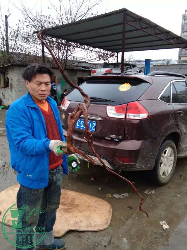 psb.jpg333.jpg