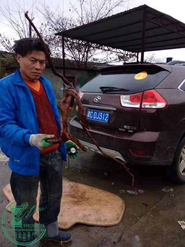 psb.jpg3333.jpg