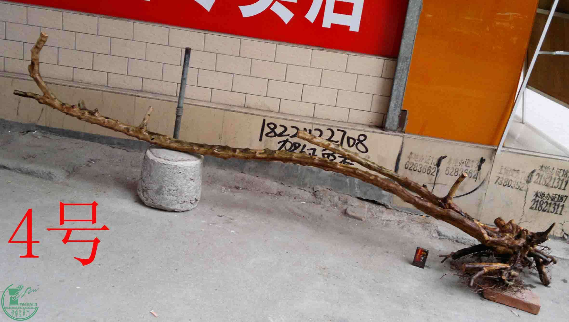 201501091107.jpg