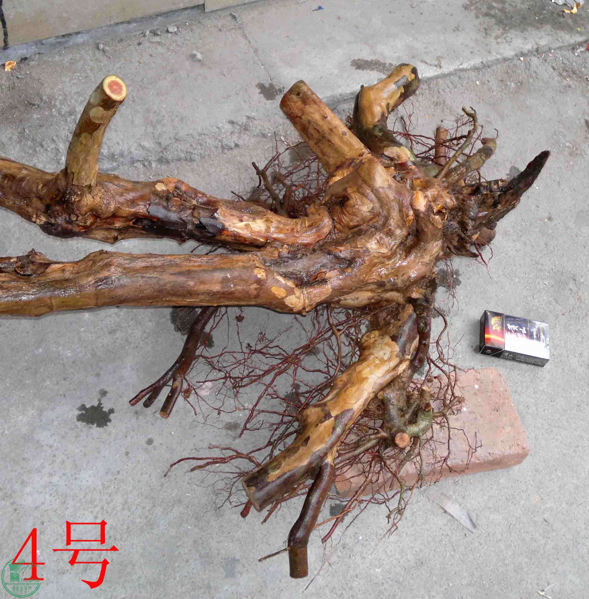 201501091104.jpg