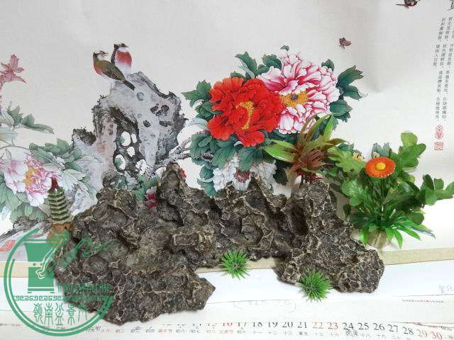 ع DSC03158.JPG