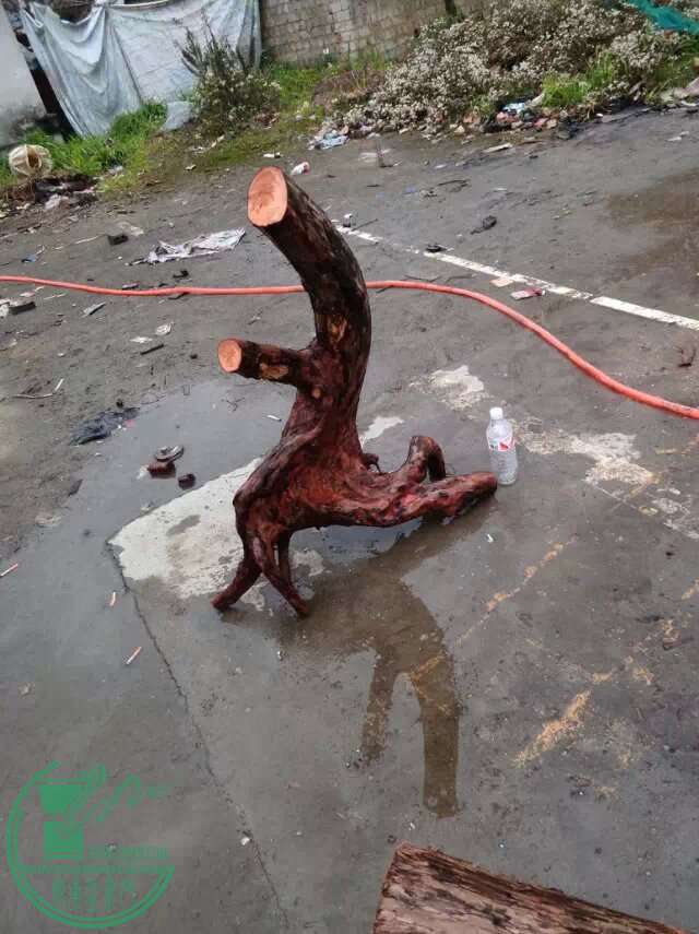 psb.jpg555555555.jpg