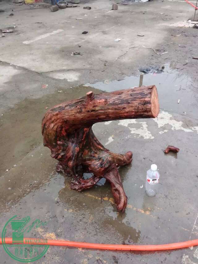 psb.jpg444444444444.jpg