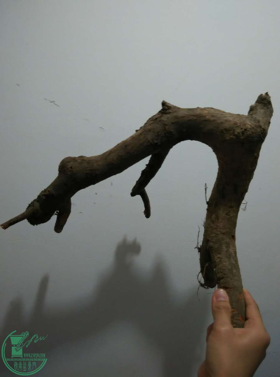5997_12774343.jpg