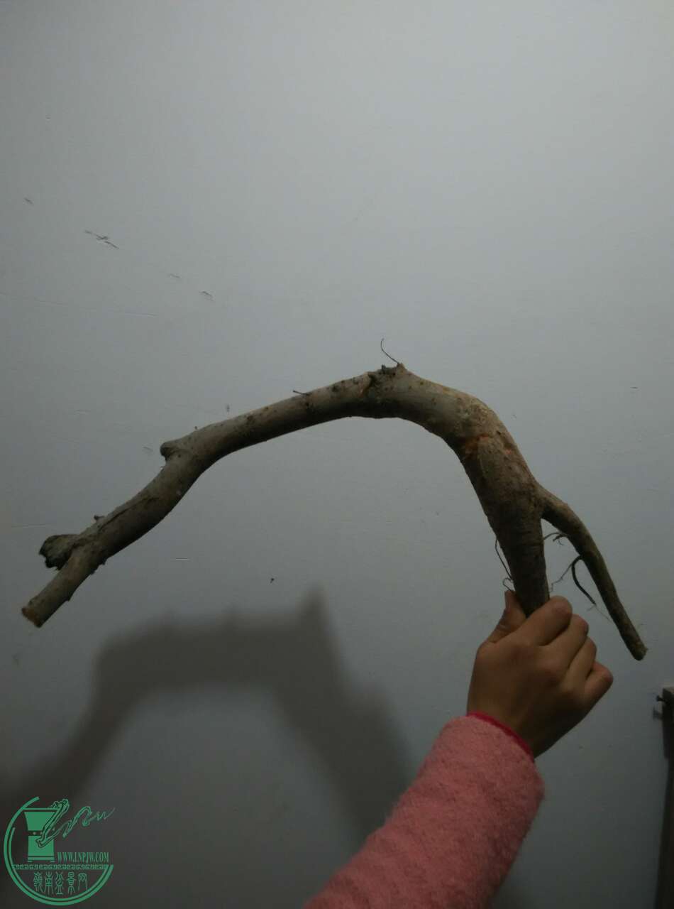 29110_12729531.jpg