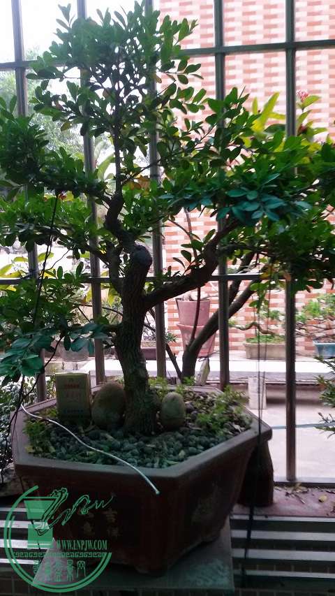 20150111_165518.jpg