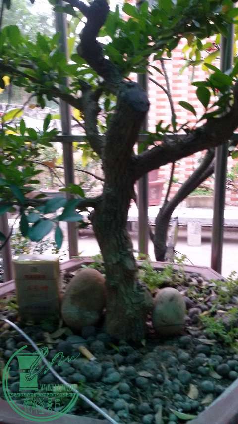 20150111_165525.jpg
