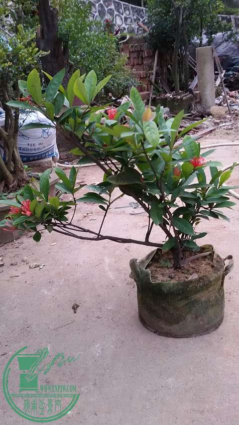 20150111_171438.jpg