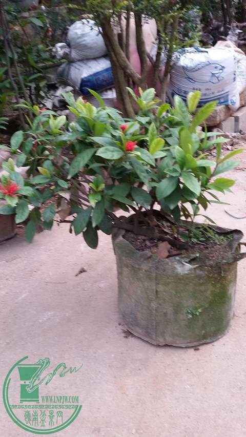 20150111_171557.jpg