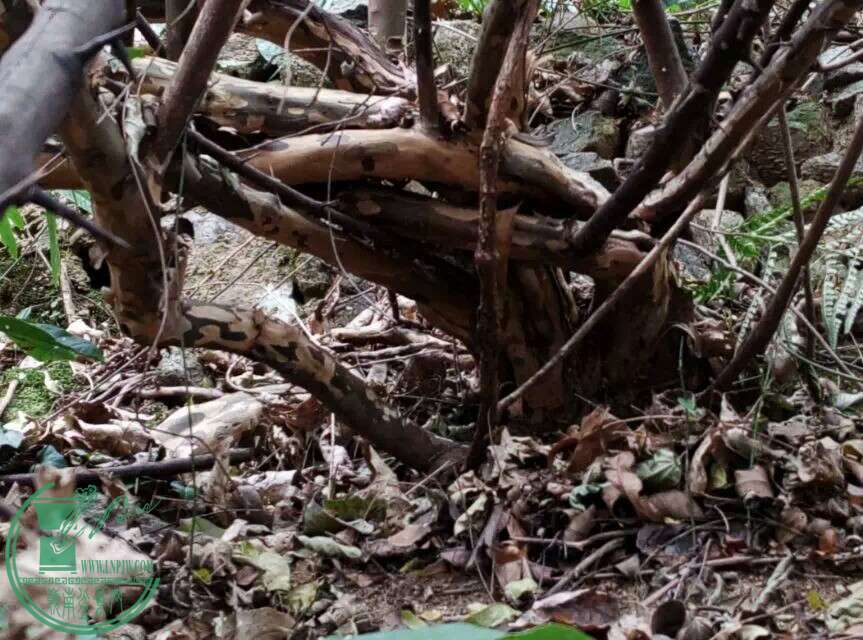 1420990574048.jpeg
