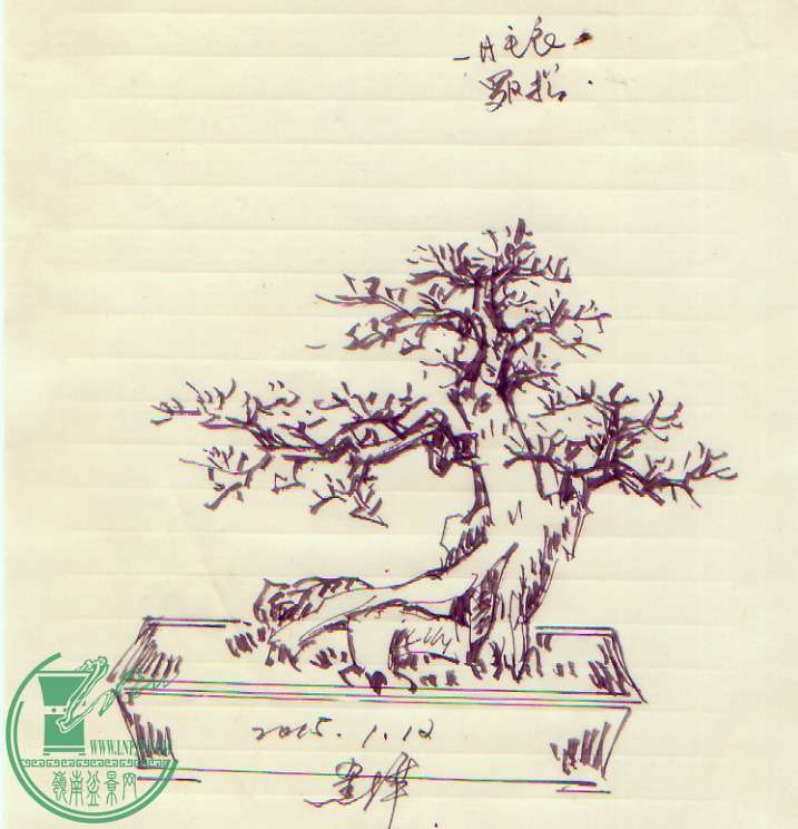 δ-6.jpg