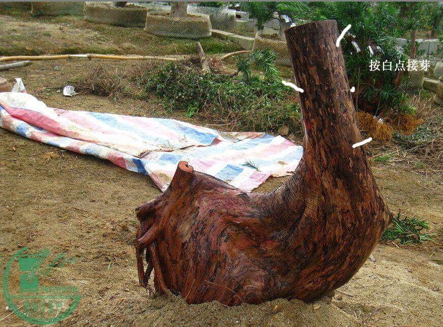 һë .jpg