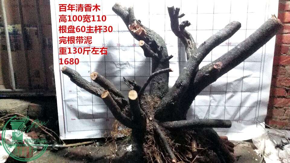 QQͼƬ20150113213809.jpg