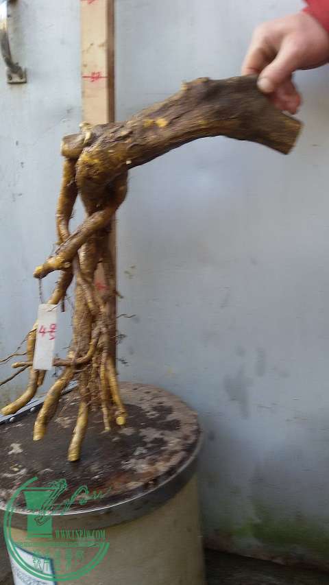 20150114_161738.jpg