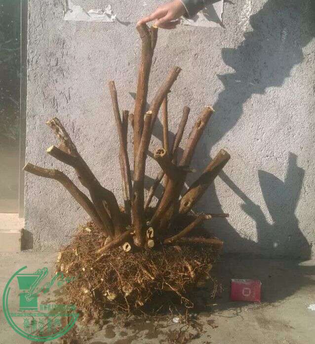 QQͼƬ20150114233350.jpg