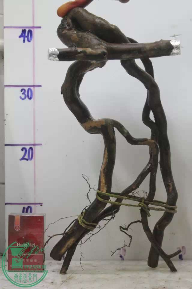 psb (13).jpg