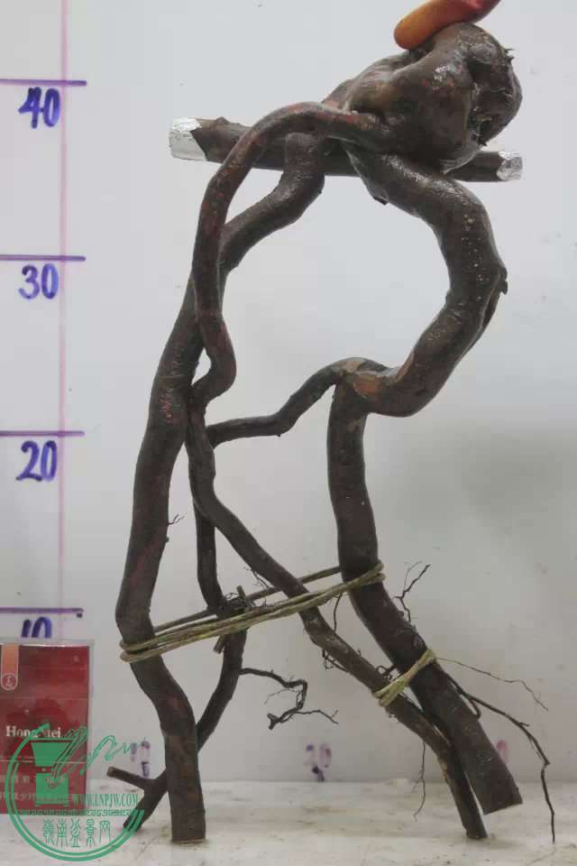 psb (14).jpg
