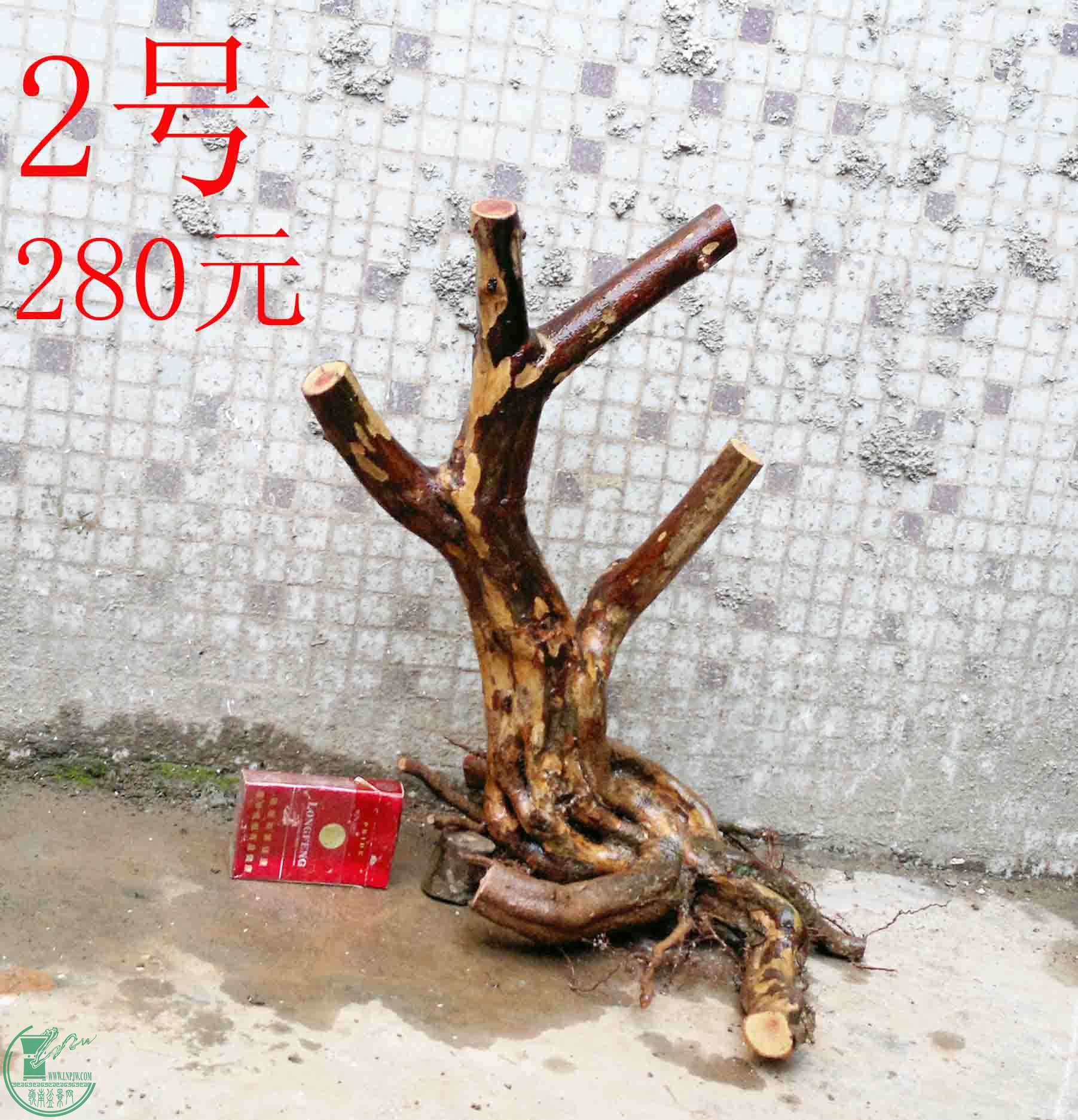201501141240.jpg