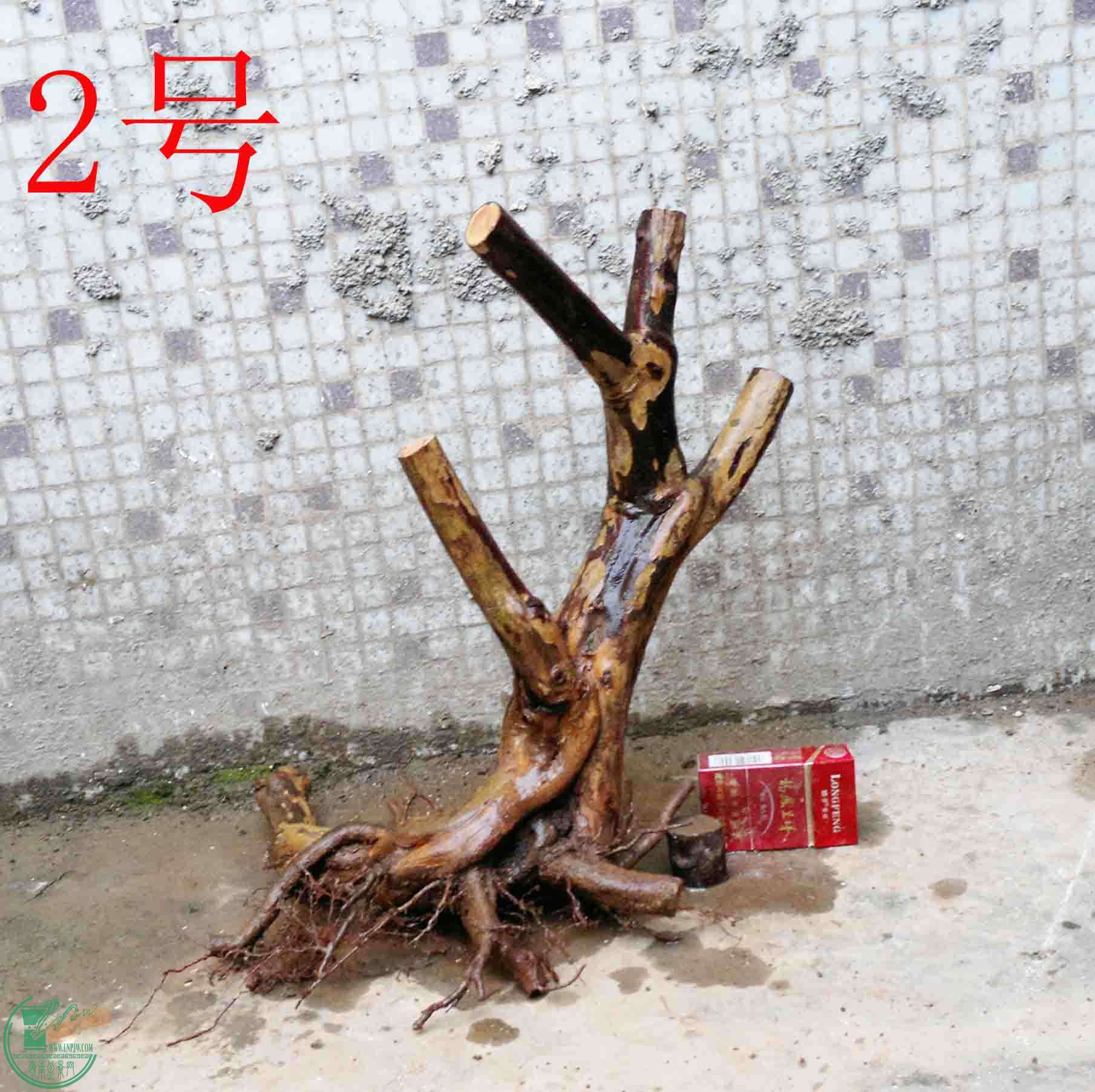 201501141247.jpg