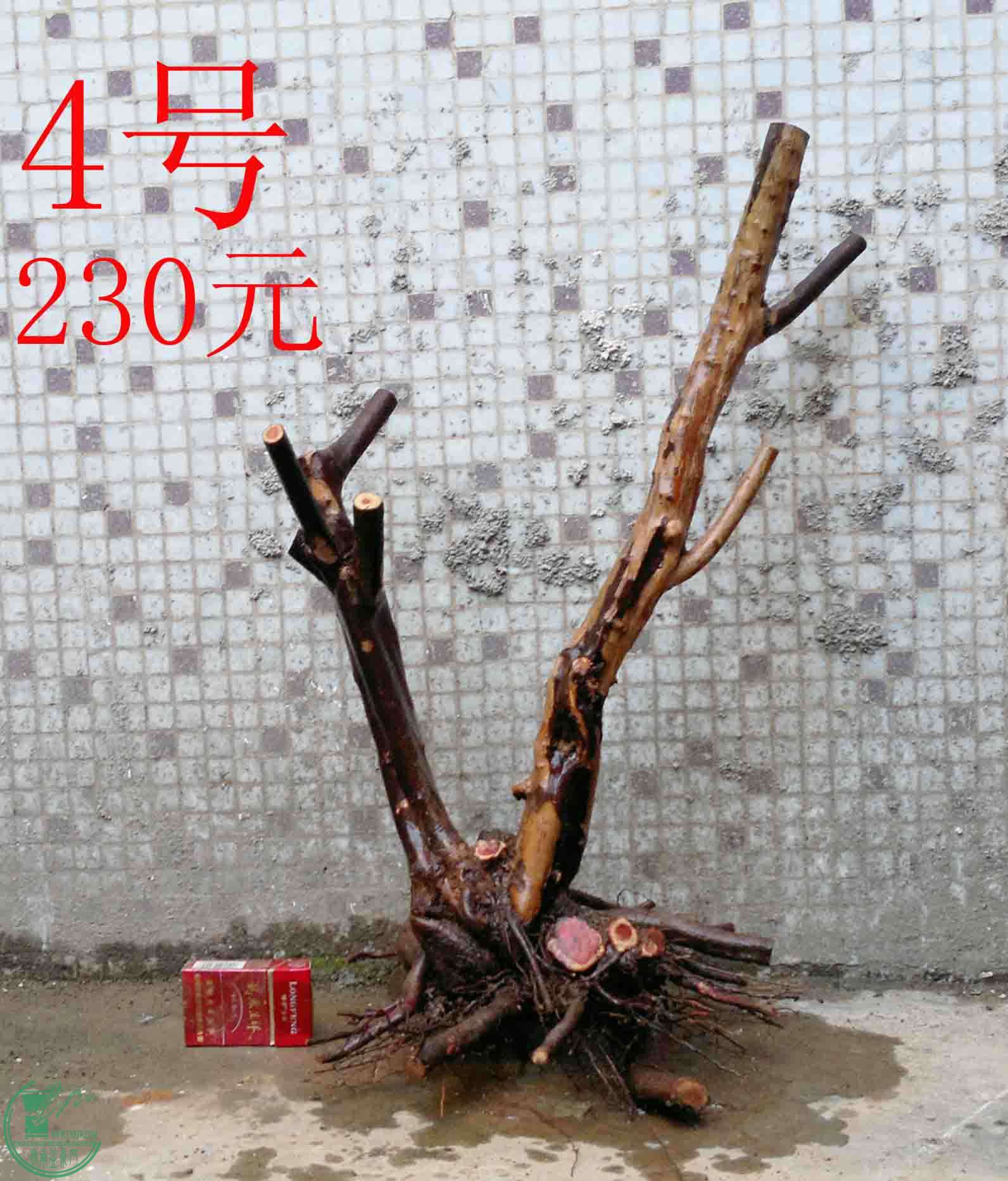 201501141255.jpg