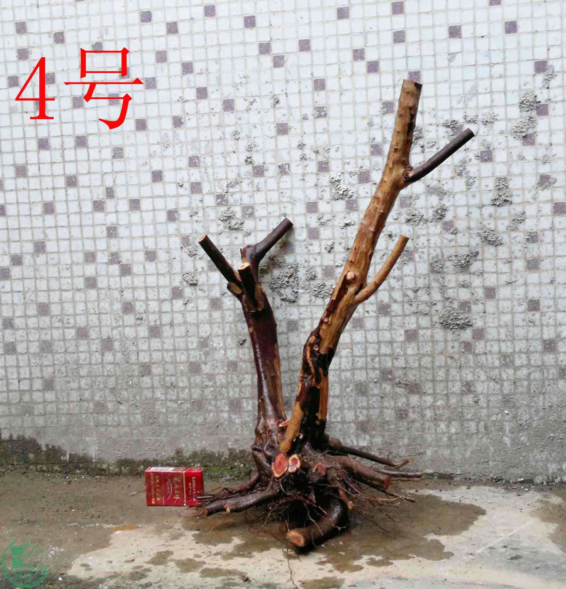 201501141259.jpg