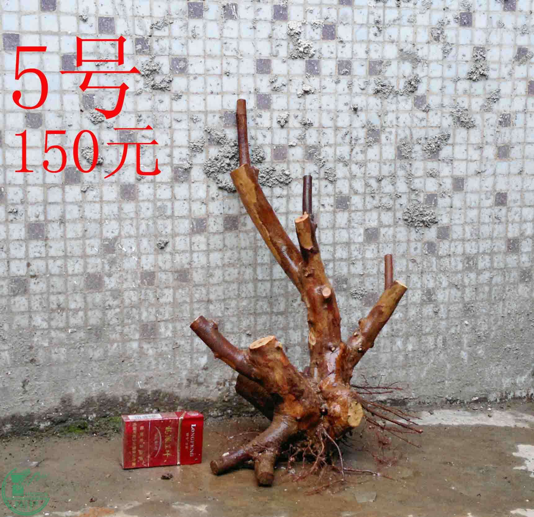 201501141268.jpg