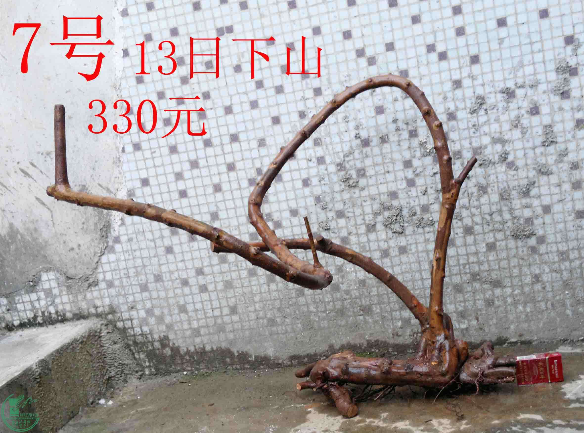 201501141284.jpg