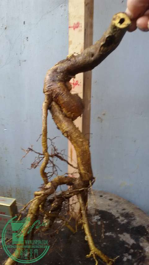20150114_162855.jpg