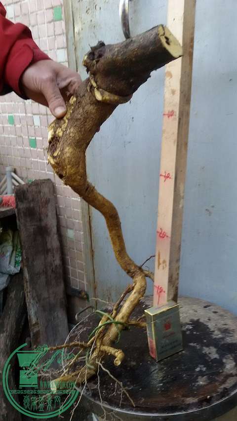 20150114_163321.jpg