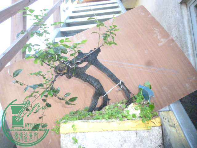 P1120715.JPG