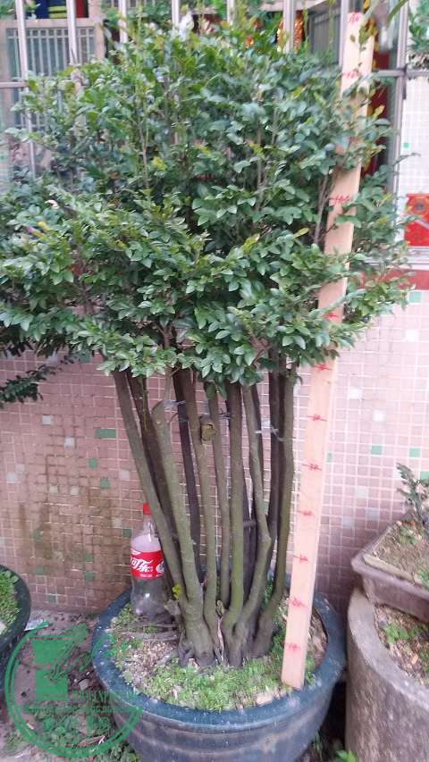 20150116_165309.jpg