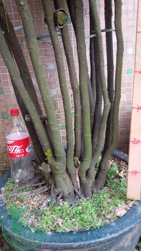 20150116_165327.jpg