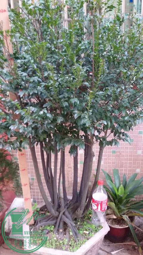 20150116_165418.jpg