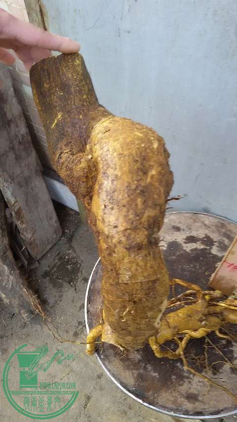 20150117_153215.jpg