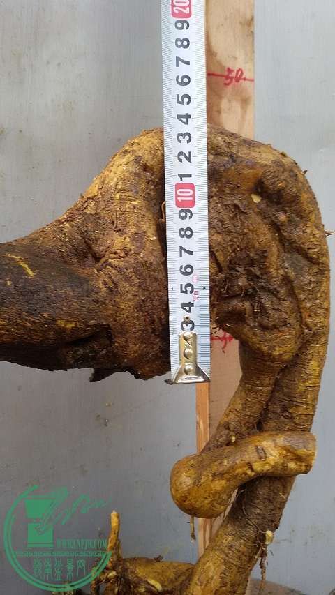 20150117_153315.jpg