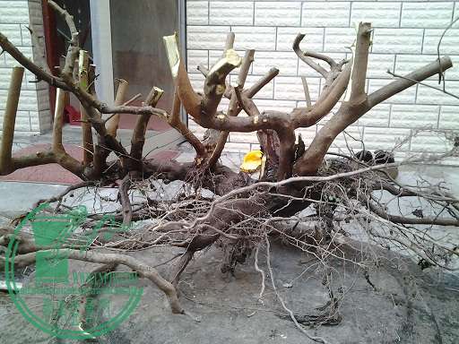 20150117_154146.jpg