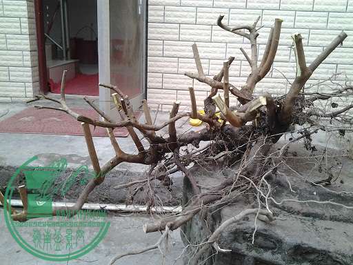 20150117_154218.jpg