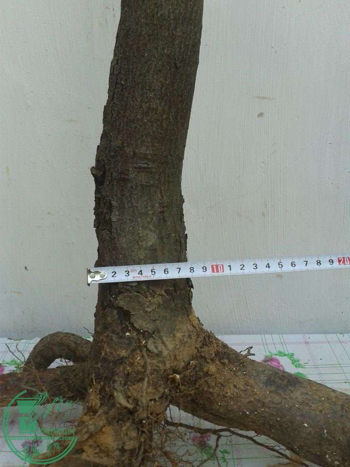 QQͼƬ20150118151835.jpg