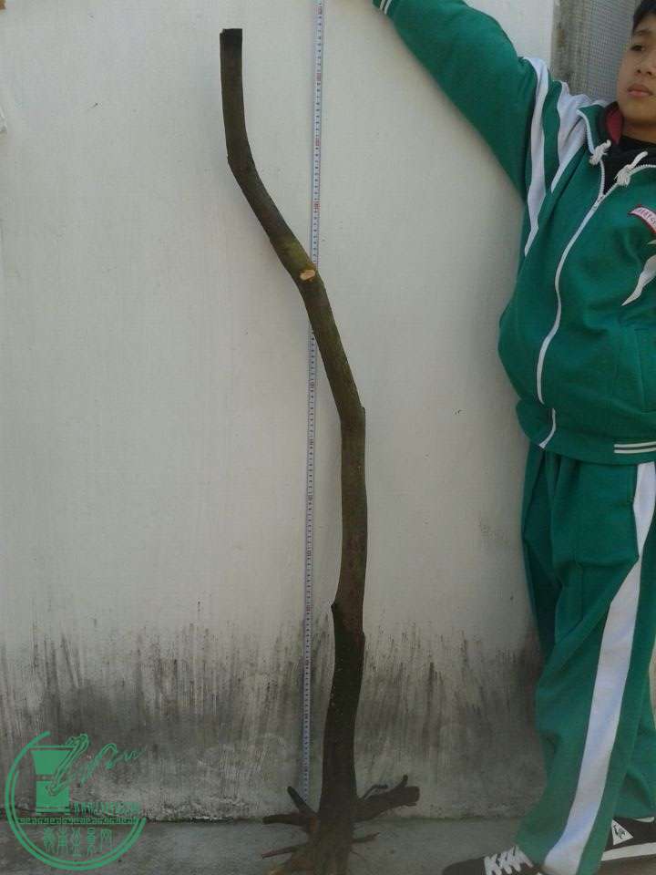 QQͼƬ20150119132317.jpg