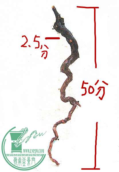 Ƭ 240_.jpg