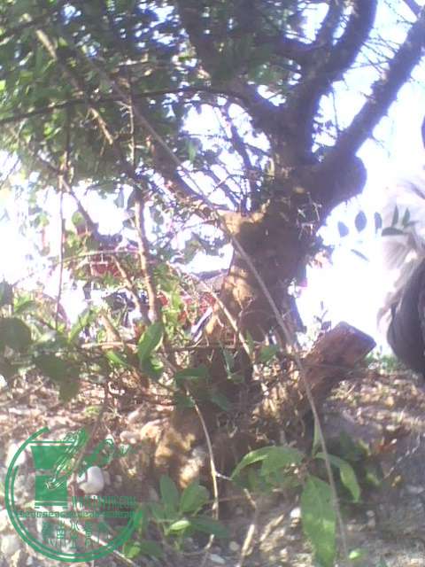 IMG1389A.jpg