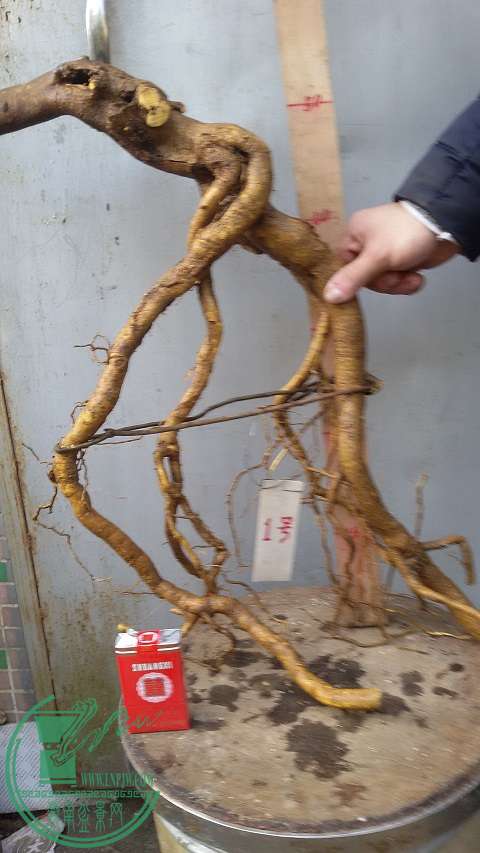 20150119_153615.jpg