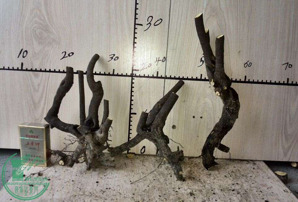 890