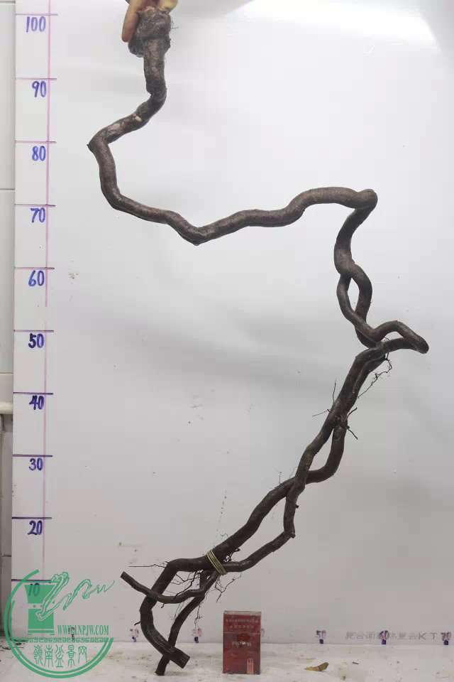 psb (1).jpg