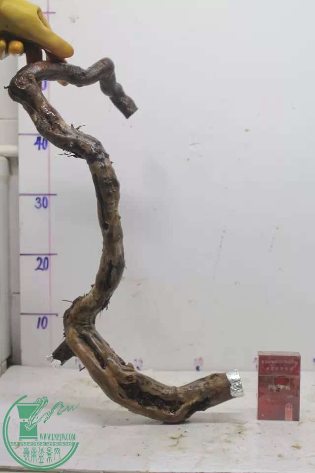 psb (2).jpg